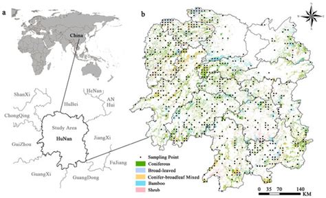 Vegetation research in Hunan Province: vegetation types, 